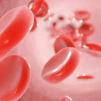 Untitled design - 2022-10-17T154745.916